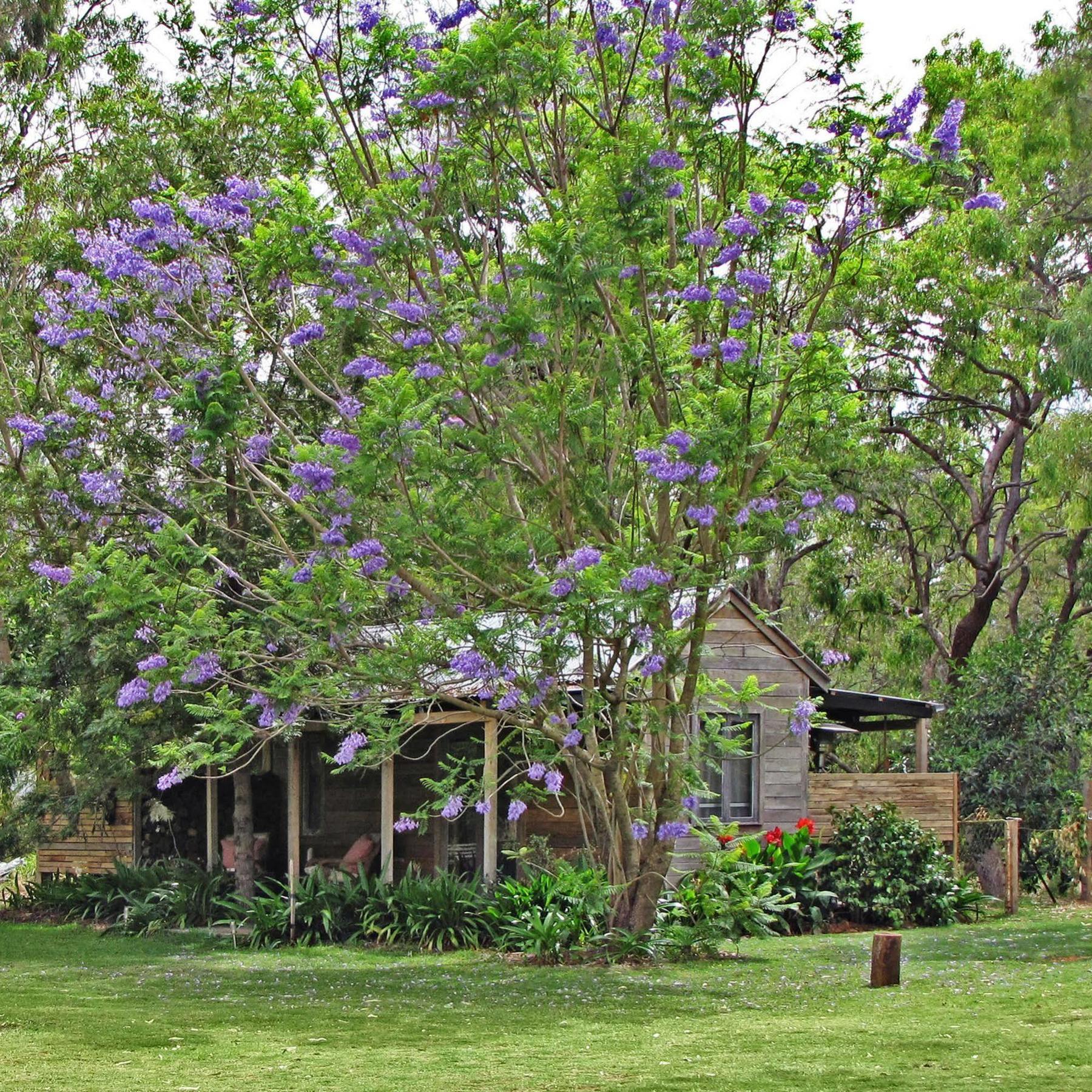 The Laurels Of Chinchilla Hotel Exterior photo